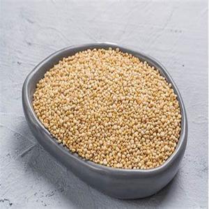 Semillas de Colza Orgánica de Alta Calidad para Exportación Mundial a los Mejores Precios - Product Image 6