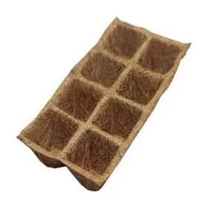 Exclusive Hot Selling 100% Natural Biodegradable Coir Seedling Trays for Seed Germination and Nursery Trays & Lids Usage