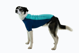 Harnais de luxe pour chien en vente chaude, ensemble de harnais de poitrine réglable, respirant, imperméable, anti-traction, tactique, camouflage - Product Image 6