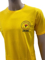 T-shirt pour homme de qualité supérieure 100% coton, couleur unie, design personnalisable, tissu tricoté 160g, écologique, respirant, manches courtes