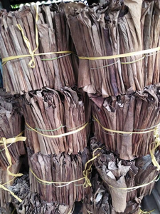 ใบตองอบแห้งธรรมชาติสำหรับห่ออาหารและบรรจุภัณฑ์รักษ์โลก - Product Image 2