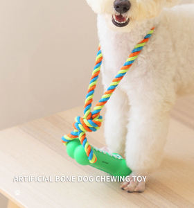 Juguete Interactivo para Perros, Hueso Masticable Resistente, Divertido, de Látex, con Diseño de Dibujos Animados, Lindo y Duradero, Accesorios para Mascotas - Product Image 3