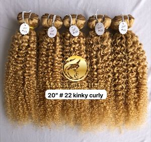 Top mejor calidad 20 "#22 Color Kinky Curly Wholesale's Bundle Raw Indian Temple Directo de India Machine Cabello humano de doble trama - Product Image 3