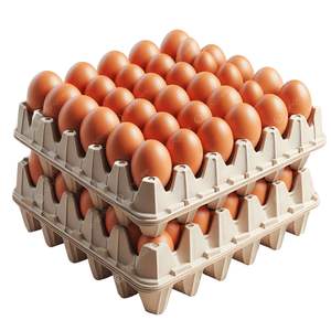 Vente chaude, œufs de poule de table frais de première qualité, fournisseur, coquille blanche/marron, jaune fertile, plateaux emballés, utilisation alimentaire à la ferme - Product Image 3