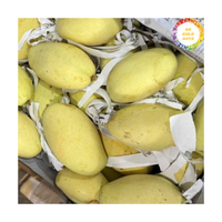 Vietnam Oorsprong Verse Mango Van Hoge Kwaliteit Rijp Mango Fruit Perfect Voor Dessert Gebruik Sapproductie En Voedselbereiding