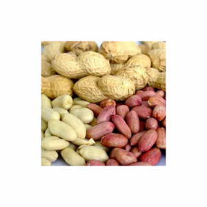 Máquina peladora de cacahuetes eléctrica comercial, máquina peladora de cacahuetes multifunción, máquina peladora de cacahuetes, cacahuetes - Product Image 1