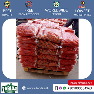 Qualité supérieure Qualité supérieure Origine égyptienne Exportation Légumes délicieux Carottes fraîches pour achat en gros à bas prix - Product Image 3