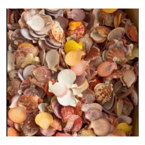 Seaside Scallop Flats Shell Copa de vino Artesanal Hecho a mano Resort Dining Cup - Product Image 5