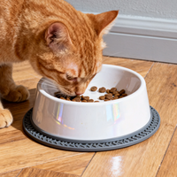 Kunden spezifischer TPR Anti-Rutsch-Ring für Pet Bowl Langlebiges Fütterung zubehör Pet Bowl Ring Gummi basis Pet Feeding Part Kunststoff teile ODM