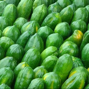 Papaya tropical fresca en venta - Product Image 1