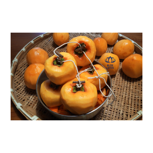 Kaki séché en gros DISPONIBLE-Longue durée de conservation, norme d'exportation, du fournisseur vietnamien de confiance - Product Image 1