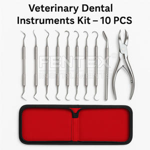 Kit d'instruments dentaires vétérinaires de haute qualité 10 pièces par Fentex Instruments chirurgicaux - Product Image 3