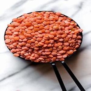 Affordable Organic Grade Red Whole <b>Lentils</b> Available for Sale at Cheap Price - Product Image 1