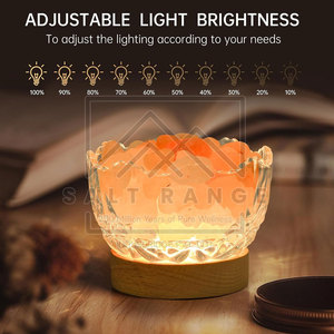 Lampe de sel de l'Himalaya sculptée de qualité supérieure, 100% sel de l'Himalaya pur, design et logo personnalisables, décoration d'intérieur - Product Image 5