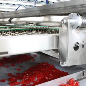 Tam otomatik düz Gummies 3D merkezi dolgulu yumuşak jöle şeker kalp ayı yapma makinesi yatırma Demolder soğutma üretim hattı