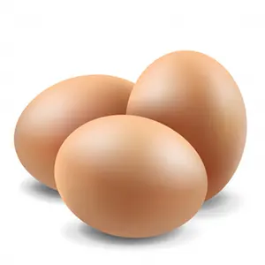 鶏の卵ダチョウの卵、鶏の卵、トルコの卵新鮮なテーブルの卵茶色と白
