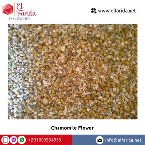 กลีบดอกคาโมไมล์แห้งสีเหลืองและสีขาวมีคุณค่าทางโภชนาการสูงสำหรับการซื้อจำนวนมาก - Product Image 2