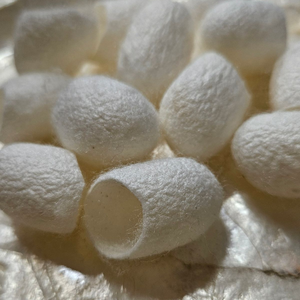 Capullos de Seda Natural para un Cuidado Diario Suave y una Belleza Limpia - Product Image 3