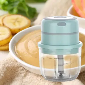 250ML Mini Electric Food Chopper Multifunctional Portable Cordless Garlic  Ginger Food Processor 