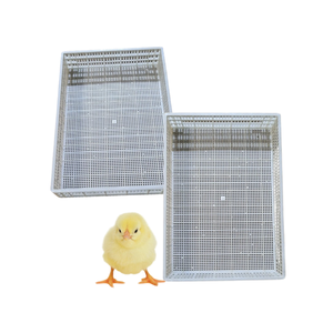 Piso de listón de plástico para aves de corral, nuevo diseño de alta calidad para equipos de aves de corral, personalización, fabricante de Vietnam - Product Image 1