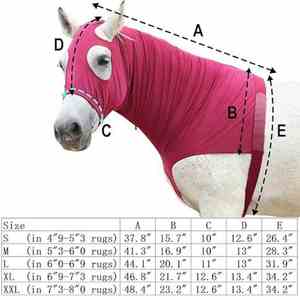 Capuche de cheval Slicker légère de qualité supérieure trois saisons menton à poitrine en plusieurs couleurs pour une utilisation équine en été - Product Image 4