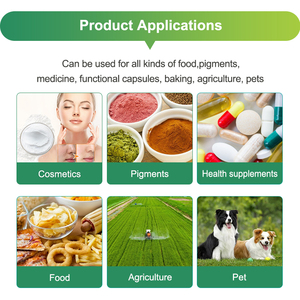 Direttamente fornire puro naturale di alta qualità pianta Sophora Japonica estratto 98% liposomale quercetina diidrato fitosoma estratto - Product Image 5