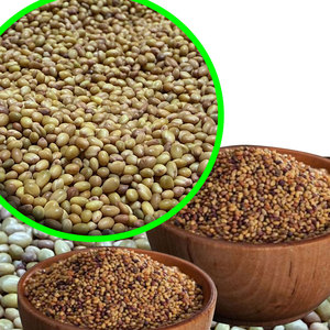 Berseก็คือโคลเวอร์ | อาหารสัตว์สีเขียวสำหรับการใช้นมในเชิงพาณิชย์ - Product Image 2