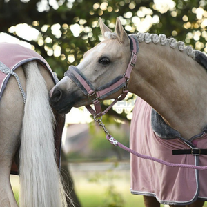 Brida de caballo de cuero Ecuestre para exteriores en estilo de silla de montar inglesa hecha a mano con atención al detalle adecuada para todos los caballos - Product Image 6
