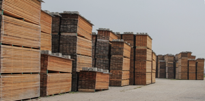 Madera de Construcción SPF - Forma Rectangular Sólida, Secada en Horno, Tratada Térmicamente, Origen Canadiense, Uso Estructural en Edificios, Proyecto Completo - Product Image 4