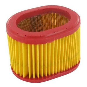 Filtro dell'Aria Compatibile B&S 790166 698867, Parti e Accessori per Tosaerba con Rif. 300281 - Product Image 1