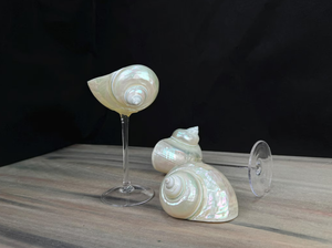 Verre à vin artisanal en coquillages naturels, vaisselle d'inspiration côtière pour hôtels, restaurants et complexes hôteliers de bord de mer - Product Image 6
