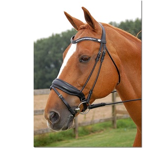 Gran manivela Noseband Snaffle Brida Funcional Estilo occidental Caballo Halter Brida Acabado mate Cuero Suministros ecuestres - Product Image 1