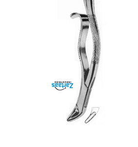 Pince d'extraction en acier inoxydable de haute qualité balançoire molaires inférieures fig 286 Fabricant et exportateur - Product Image 2