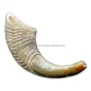 מסורתי כשר גימור אילים צופר Shofar טבעי צופר דתי מלוטש עסקי מתנה הודו אהבה על ידי Craftsy בית