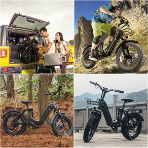 20 Inch Fat Tire Ebike 750W Motor Big Battery Electric Cycle Electric Bicycle Full Suspension 48V Best Mountain E Bike