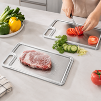 Planche à découper et à décongeler 2-en-1 en acier inoxydable antidérapante avec cœur en aluminium pour viande congelée, idéale pour la cuisine
