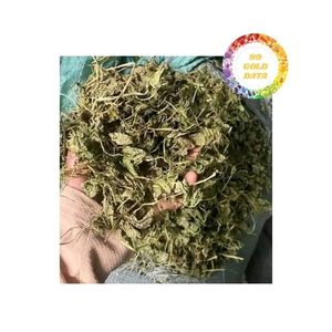 Centella Asiatica séchée à vendre, qualité sélectionnée pour la distribution en gros, source de fabrication fiable avec une capacité de production élevée - Product Image 1