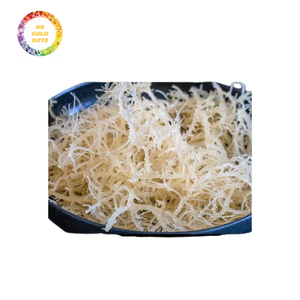 Exportation en vrac de mousse de mer et de mousse irlandaise sauvage de qualité supérieure avec un approvisionnement constant et à faible coût - Product Image 6