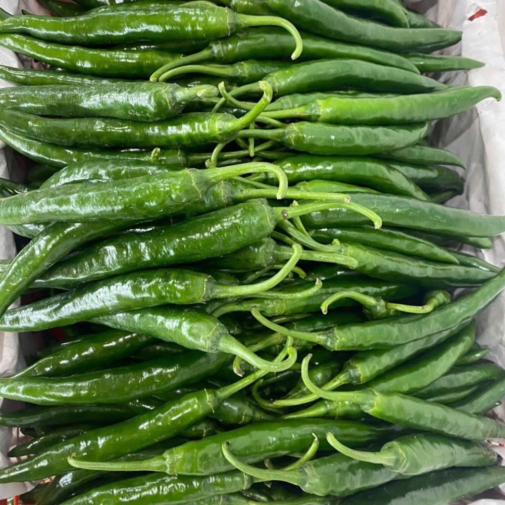 Fresh Red Chili From Vietnam For Green Chili And Dry Ginger Mixed Spice Recipes