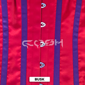 New Arrival Red Satin Corset With Purple Boning & Trim - Product Image 3