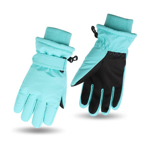 2025 Ski Snow Cold Weather Heated Plus Size Printed Gloves Men Women Winter Thermal Waterproof Windproof Touch Screen Warm - Product Image 1