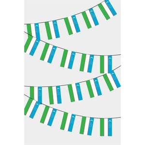 Drapeaux rectangulaires en soie Ouzbékistan, guirlandes, techniques d'impression numérique - Product Image 1