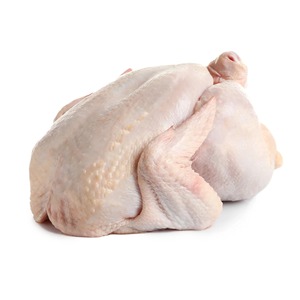 Pato congelado recién procesado Pato congelado cuidadosamente embalado para preservar el sabor natural y el alto contenido de proteínas - Product Image 2