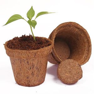 Macetas de fibra de coco biodegradables de primera calidad diseñadas para jardinería sostenible y cultivo en interiores. - Product Image 5