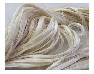 Fibra de Sisal Natural Premium de alta calidad ignífugo respetuoso con el medio ambiente UG SSUG venta al por mayor superventas patrón crudo para hormigón - Product Image 1