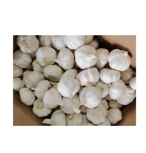 2024 ajo fresco 4,5 5,0 cm tamaño precio barato mejor proveedor 10kg bolsa de malla rojo blanco ajo para exportación - Product Image 3