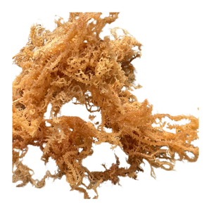 Abrace Natures Bounty con 99 Gold Datas Sea Moss: Un superalimento natural para la salud diaria - Product Image 1