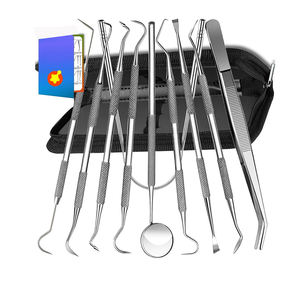 Ensemble de 10 outils de nettoyage de dents en acier inoxydable allemand de haute qualité Kit d'outils de diagnostic dentaire industriel bricolage personnalisable OEM - Product Image 6
