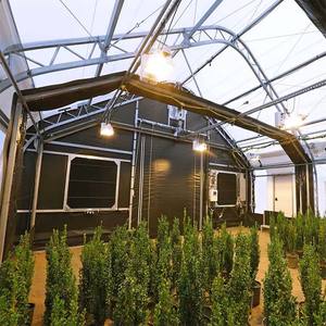 Small Size Single Span Film GreenhouseBlackout Light Deprivation GreenhouseGreenhouse For Grow Mushroom - Product Image 3