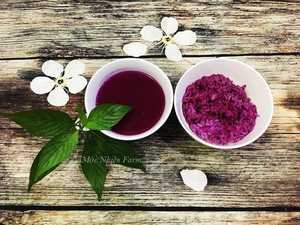Purple Leaf <b>Powder</b> Natural <b>Food</b> <b>Colorant</b> Made from Magenta Plant for Traditional <b>Foods</b> and Beverage Processing - Product Image 3